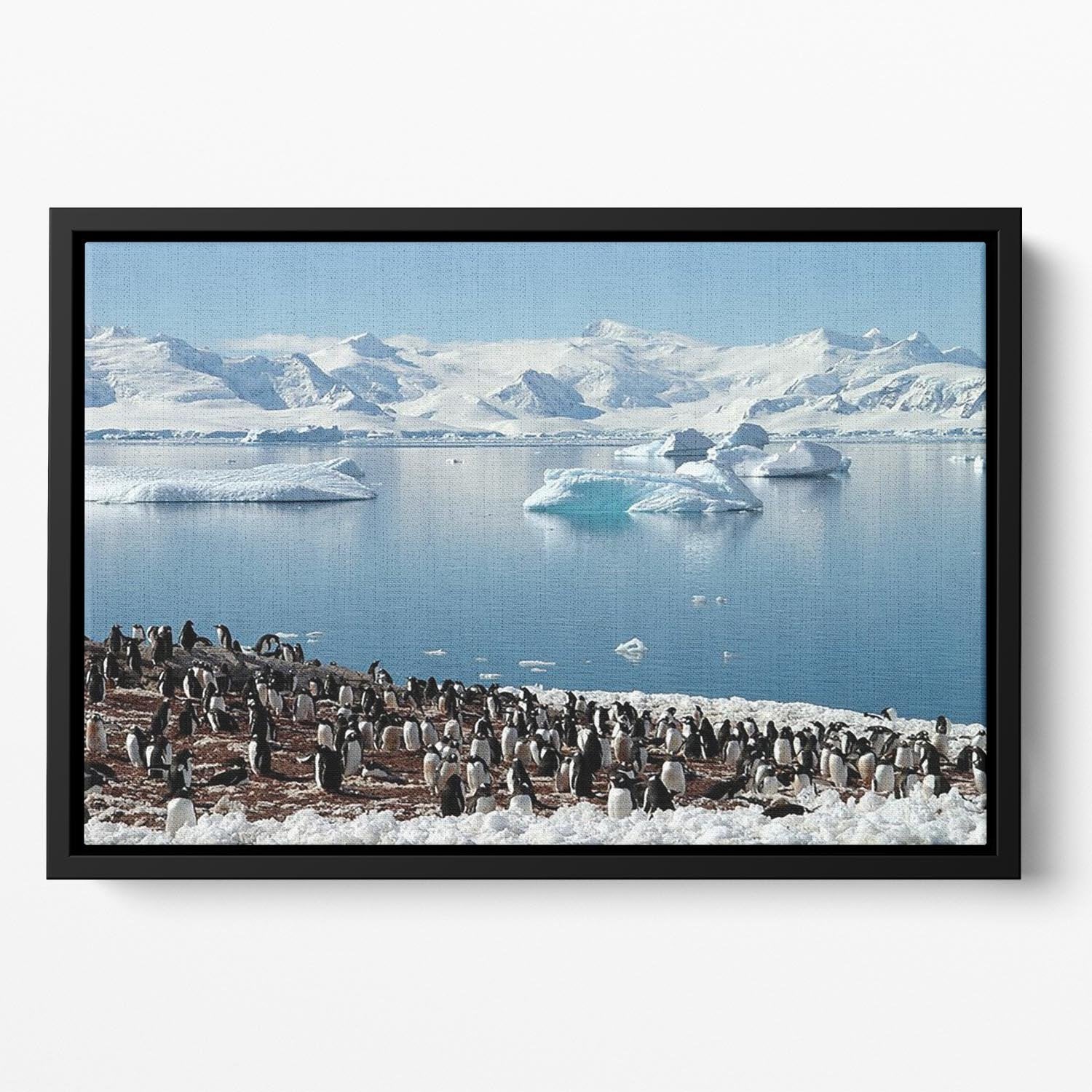 Antarctic penguin group reflection of icebergs Antarctica Floating Framed Canvas - Canvas Art Rocks - 2