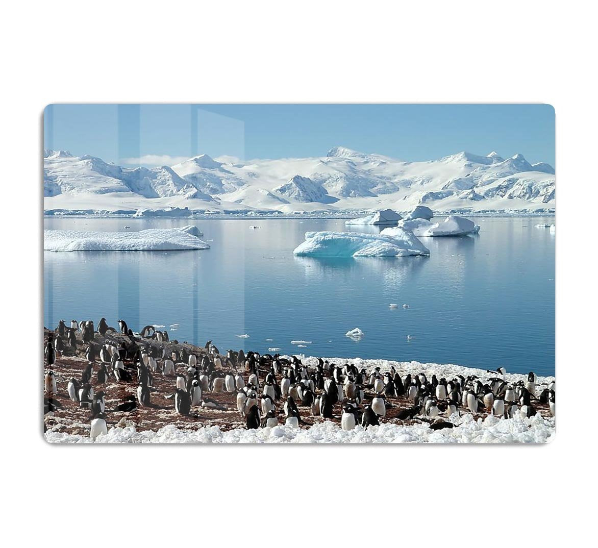 Antarctic penguin group reflection of icebergs Antarctica HD Metal Print - Canvas Art Rocks - 1