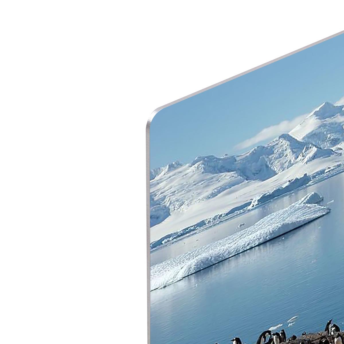 Antarctic penguin group reflection of icebergs Antarctica HD Metal Print - Canvas Art Rocks - 4