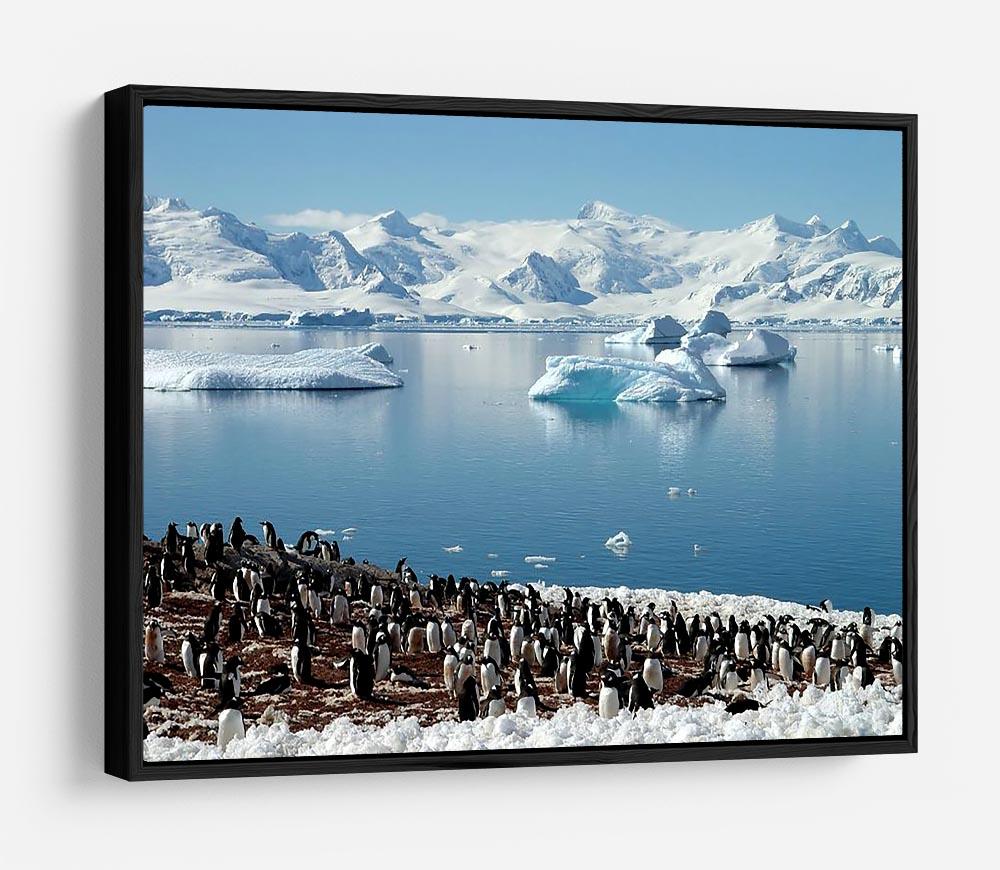 Antarctic penguin group reflection of icebergs Antarctica HD Metal Print - Canvas Art Rocks - 6