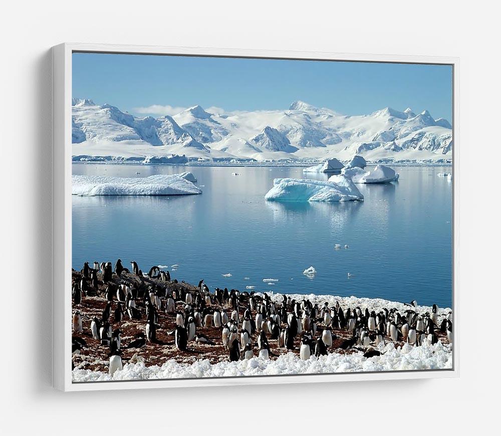 Antarctic penguin group reflection of icebergs Antarctica HD Metal Print - Canvas Art Rocks - 7