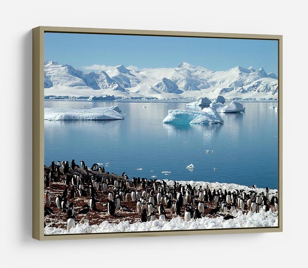 Antarctic penguin group reflection of icebergs Antarctica HD Metal Print - Canvas Art Rocks - 8