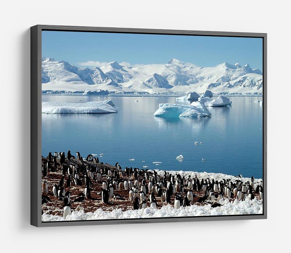Antarctic penguin group reflection of icebergs Antarctica HD Metal Print - Canvas Art Rocks - 9