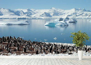 Antarctic penguin group reflection of icebergs Antarctica Wall Mural Wallpaper - Canvas Art Rocks - 4