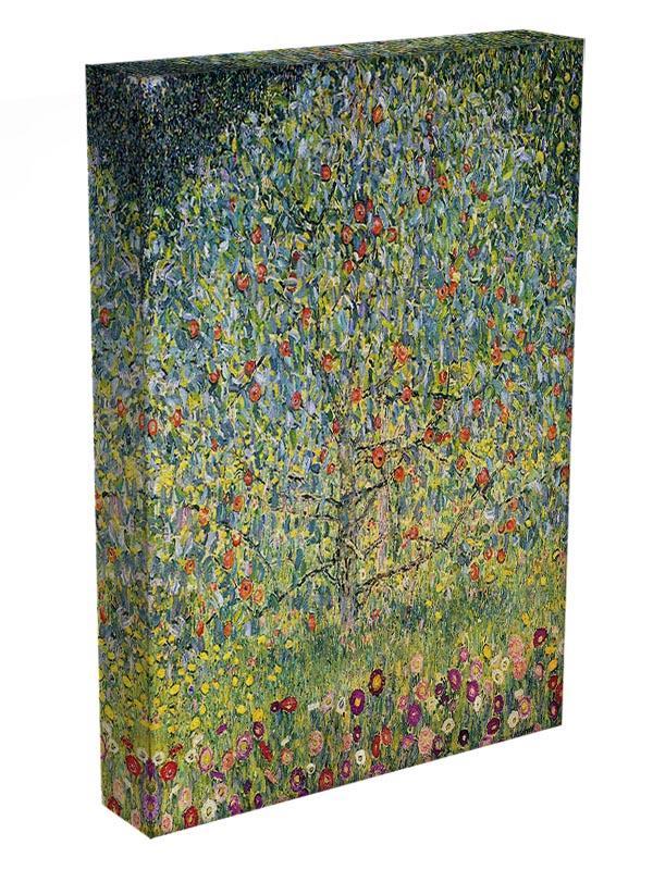 Apple Tree by Klimt Canvas Print or Poster - Canvas Art Rocks - 3