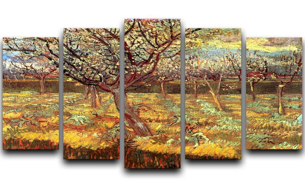 Apricot Trees in Blossom by Van Gogh 5 Split Panel Canvas  - Canvas Art Rocks - 1
