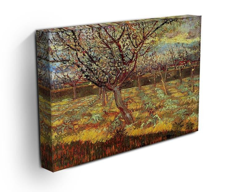Apricot Trees in Blossom by Van Gogh Canvas Print & Poster - Canvas Art Rocks - 3