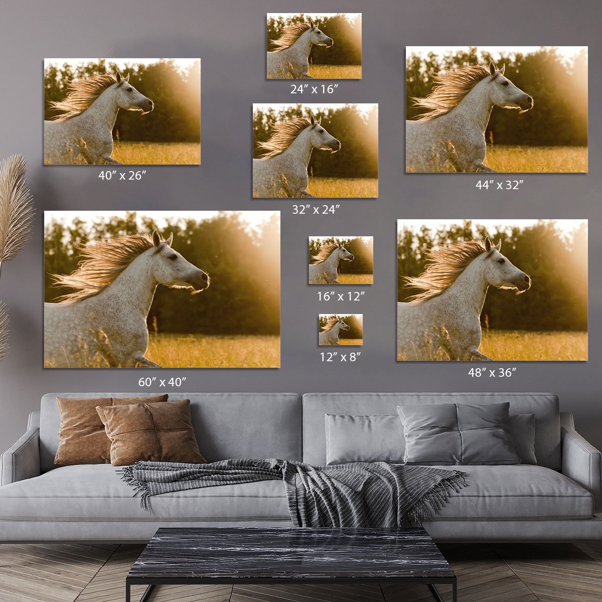 Arab horse in sunset Canvas Print or Poster
