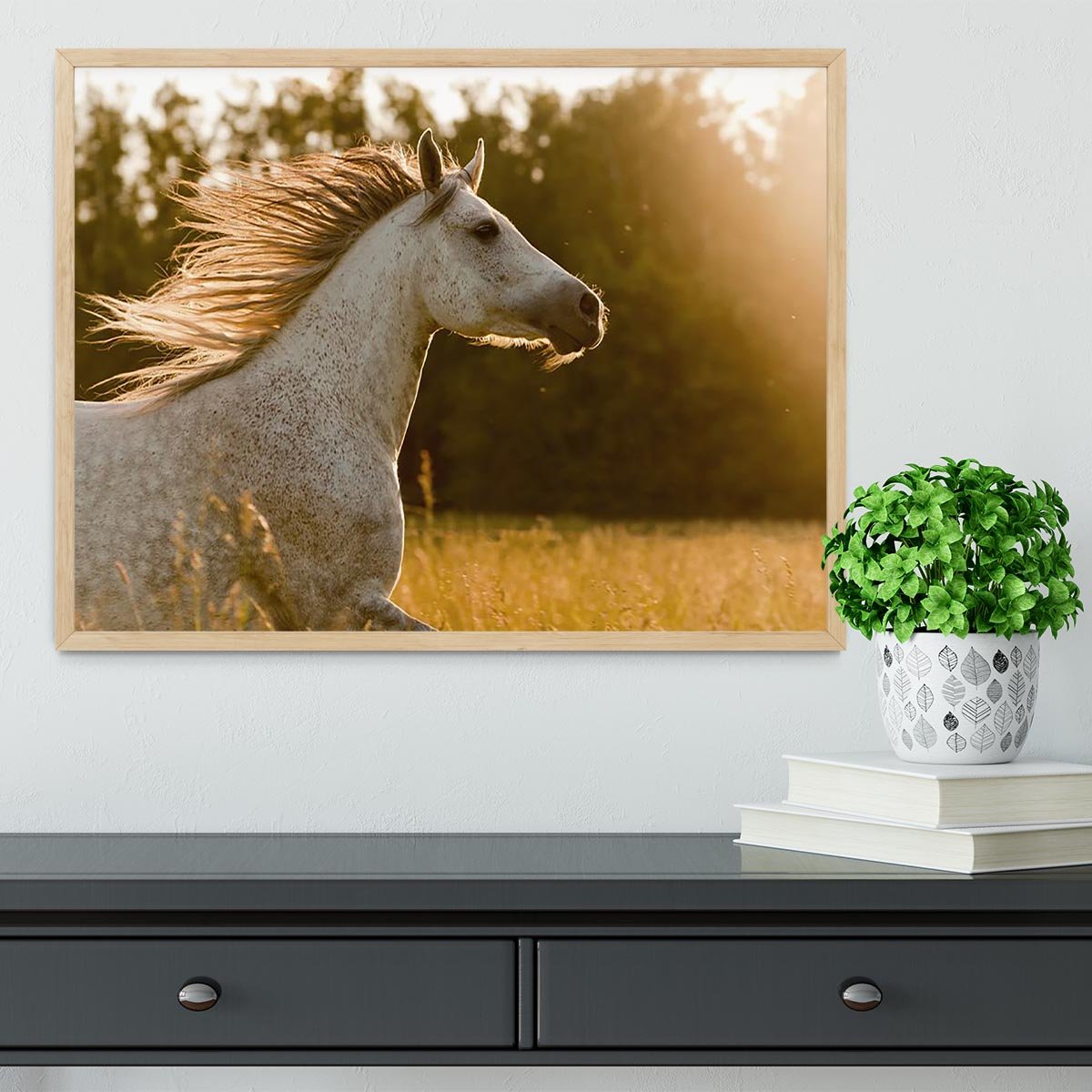 Arab horse in sunset Framed Print - Canvas Art Rocks - 4