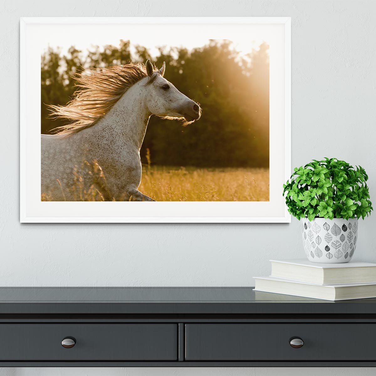 Arab horse in sunset Framed Print - Canvas Art Rocks - 5