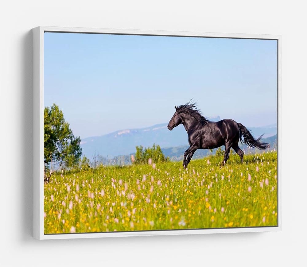 Arab racer runs on a green summer meadow HD Metal Print - Canvas Art Rocks - 7