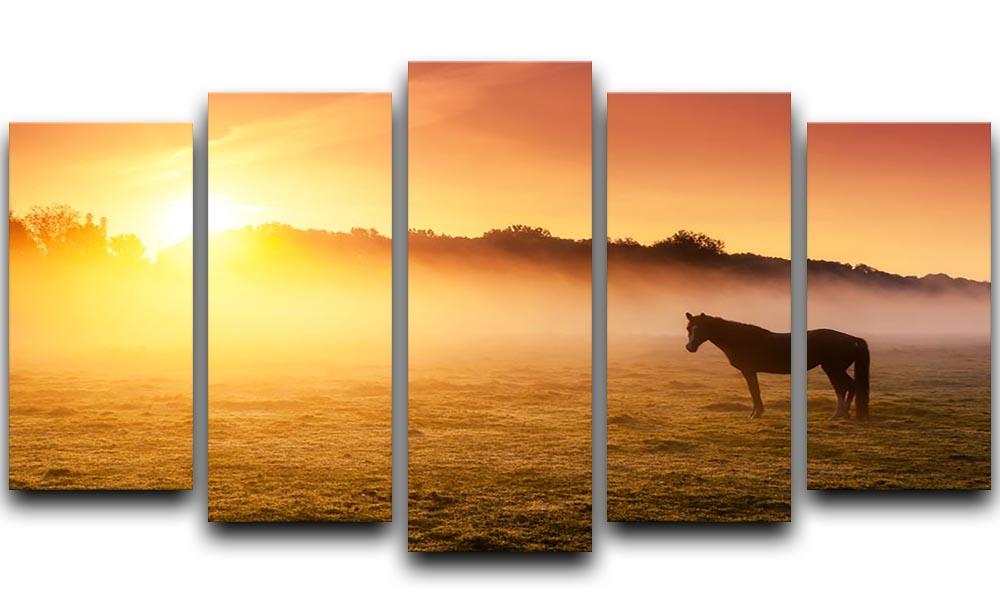 Arabian horses grazing on pasture at sundown in orange sunny beams. Dramatic foggy scene 5 Split Panel Canvas - Canvas Art Rocks - 1