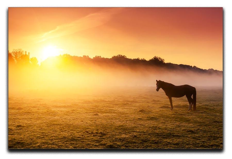 Arabian horses grazing on pasture at sundown in orange sunny beams. Dramatic foggy scene Canvas Print or Poster - Canvas Art Rocks - 1