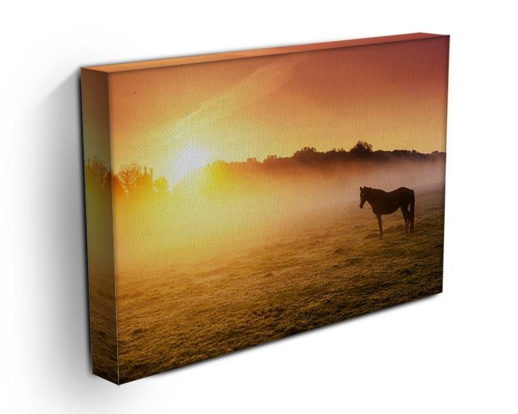 Arabian horses grazing on pasture at sundown in orange sunny beams. Dramatic foggy scene Canvas Print or Poster - Canvas Art Rocks - 3
