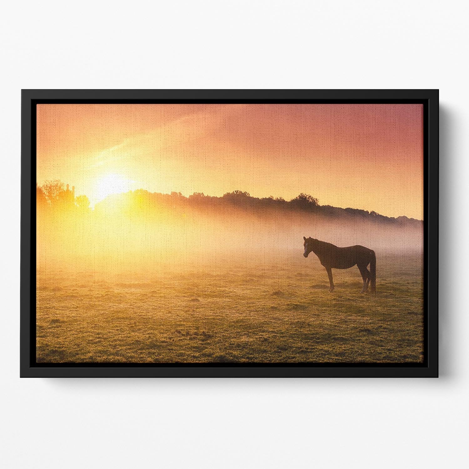 Arabian horses grazing on pasture at sundown in orange sunny beams. Dramatic foggy scene Floating Framed Canvas - Canvas Art Rocks - 2