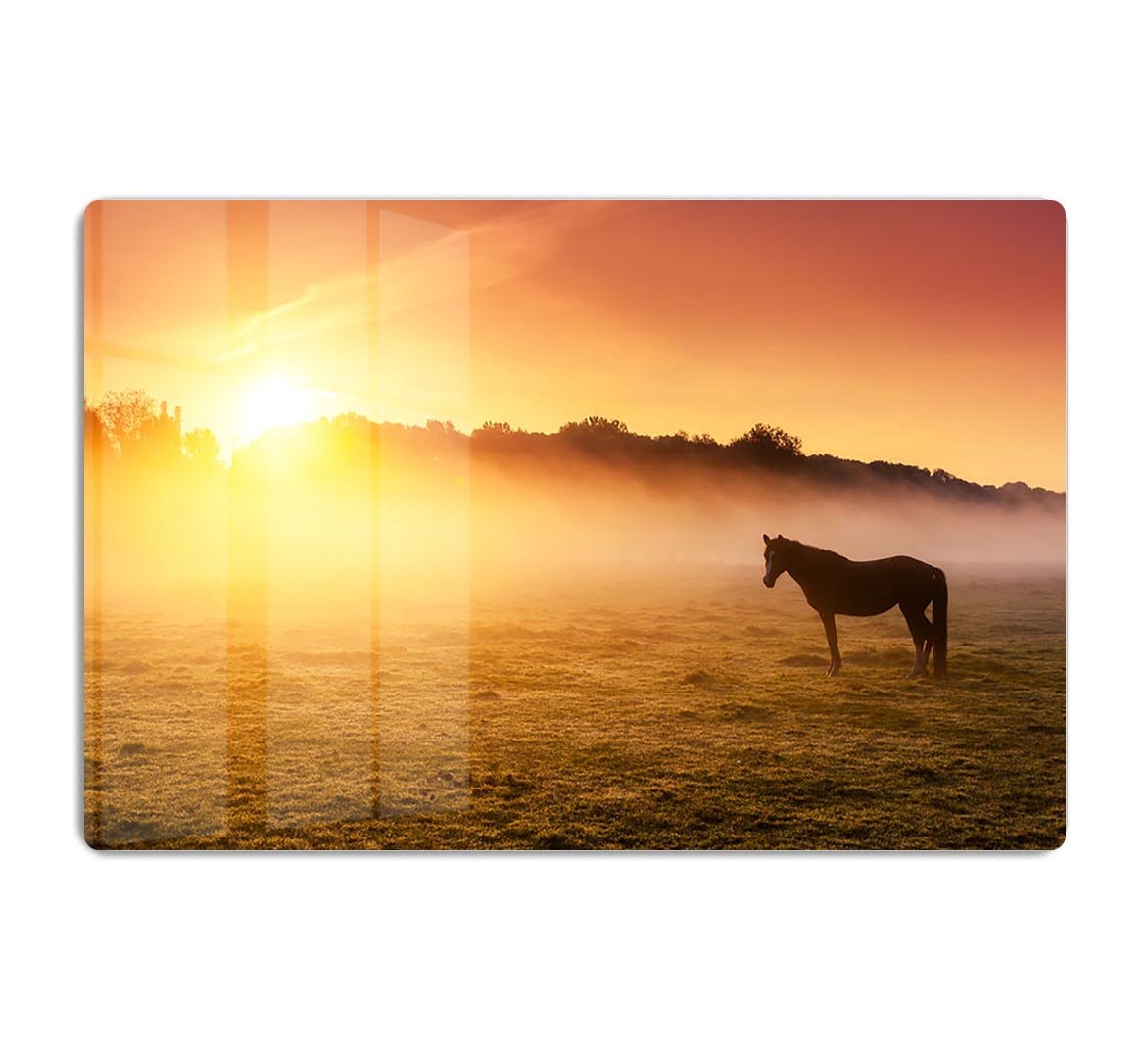 Arabian horses grazing on pasture at sundown in orange sunny beams. Dramatic foggy scene HD Metal Print - Canvas Art Rocks - 1