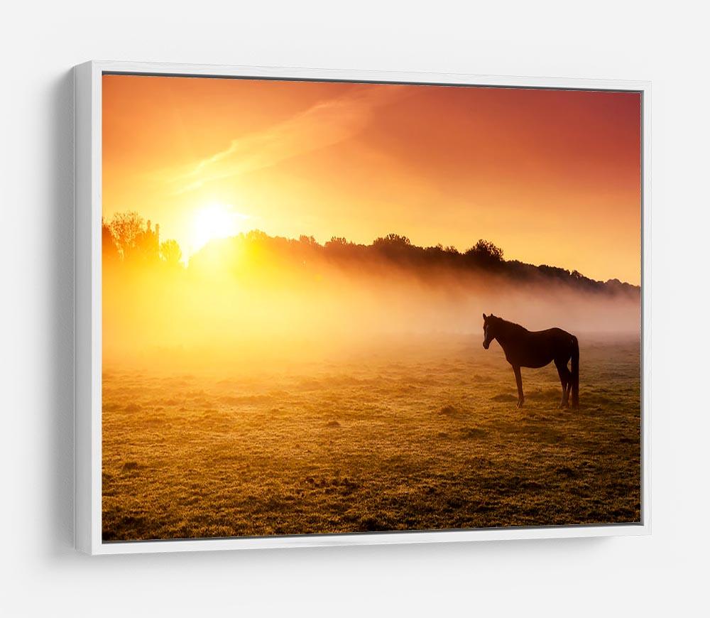 Arabian horses grazing on pasture at sundown in orange sunny beams. Dramatic foggy scene HD Metal Print - Canvas Art Rocks - 7