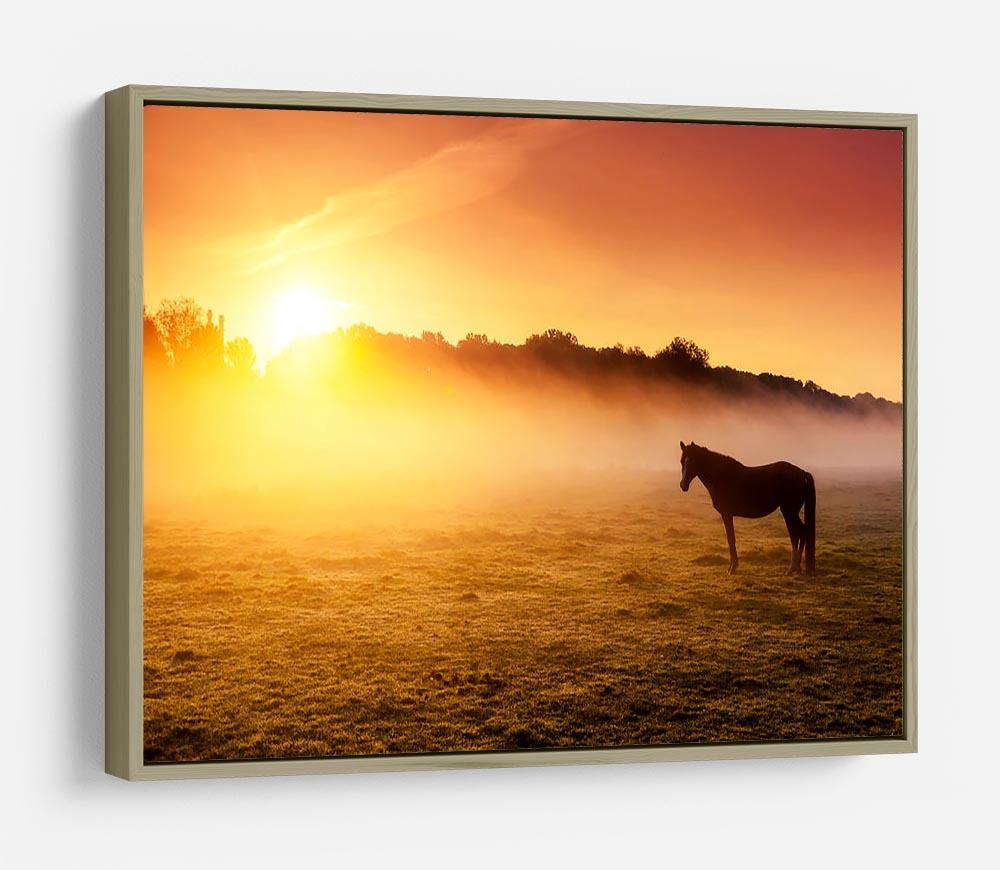 Arabian horses grazing on pasture at sundown in orange sunny beams. Dramatic foggy scene HD Metal Print - Canvas Art Rocks - 8