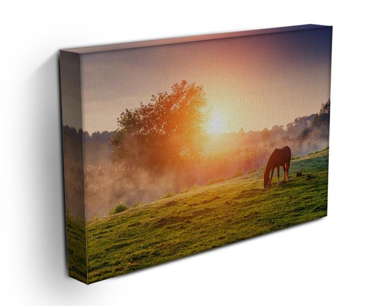 Arabian horses grazing on pasture at sundown in orange sunny beams Canvas Print or Poster - Canvas Art Rocks - 3