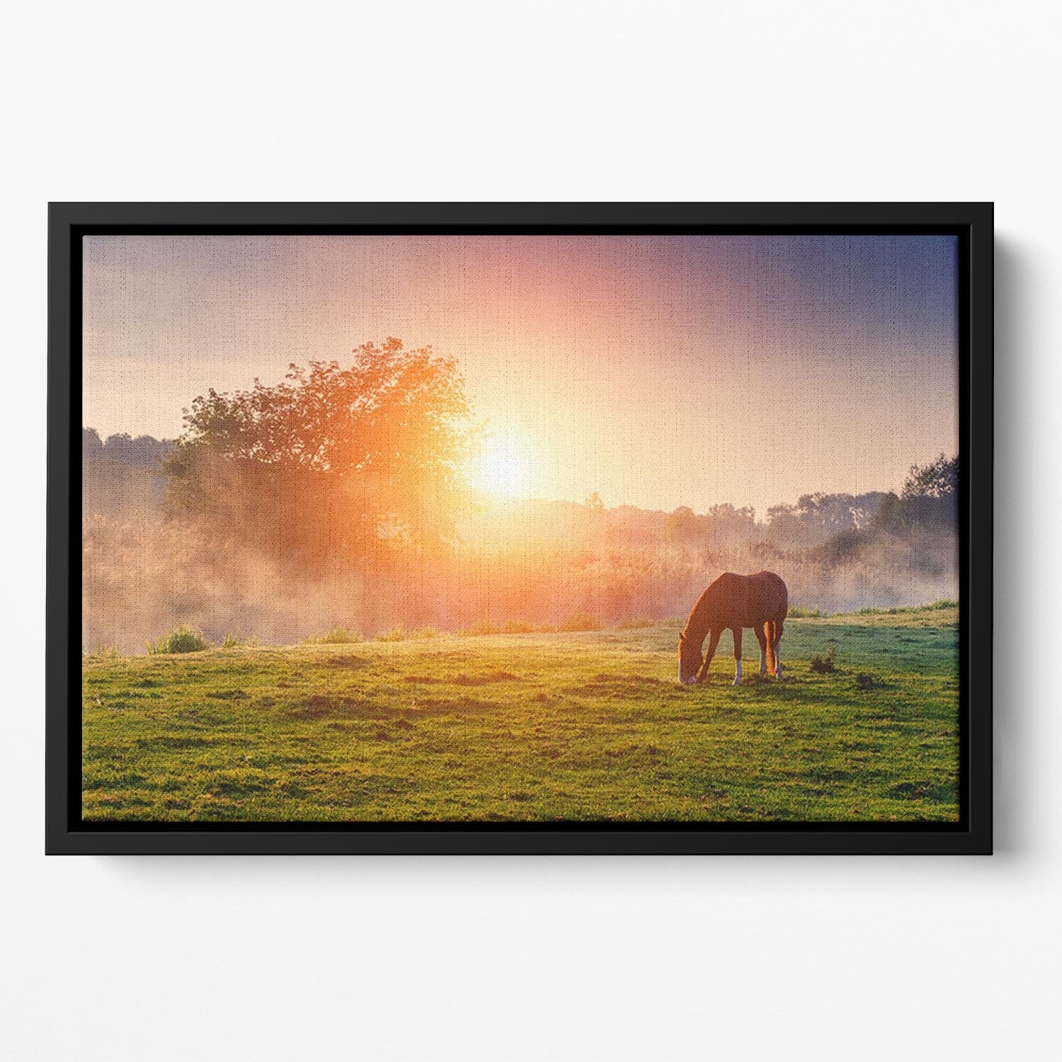 Arabian horses grazing on pasture at sundown in orange sunny beams Floating Framed Canvas - Canvas Art Rocks - 2