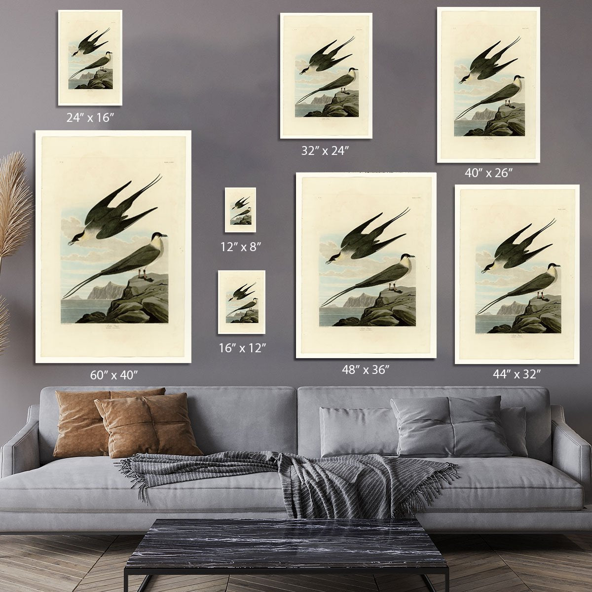 Arctic Yager by Audubon Canvas Print or Poster
