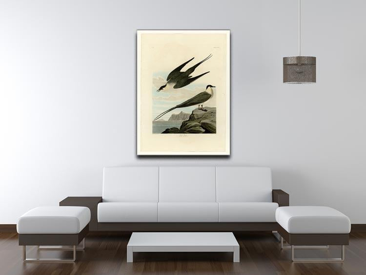 Arctic Yager by Audubon Canvas Print or Poster - Canvas Art Rocks - 4