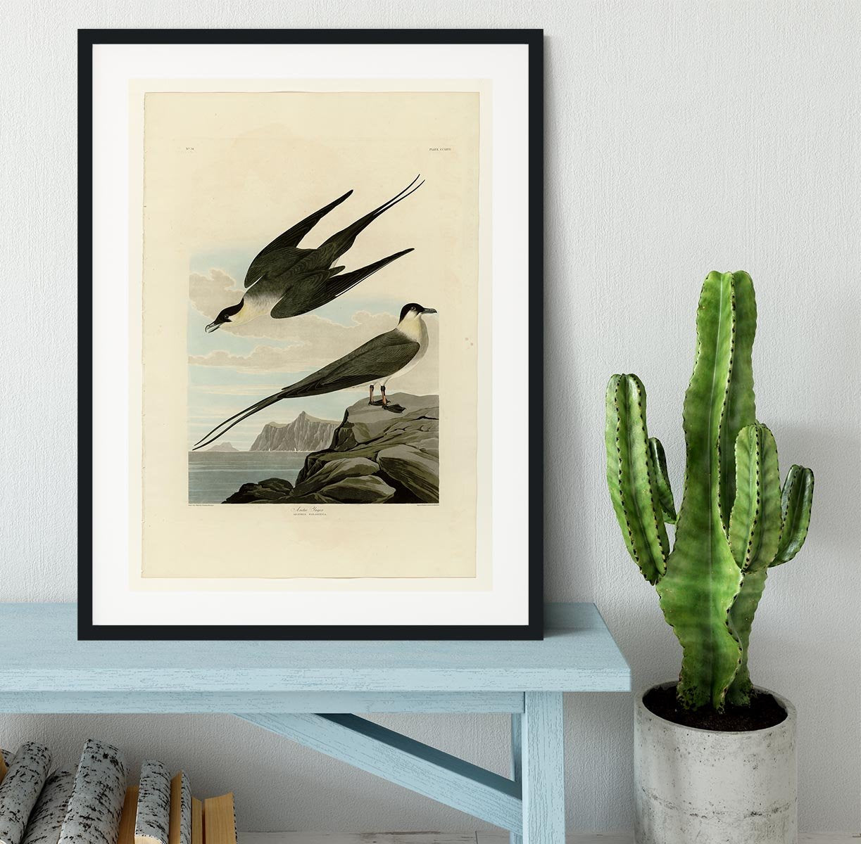 Arctic Yager by Audubon Framed Print - Canvas Art Rocks - 1