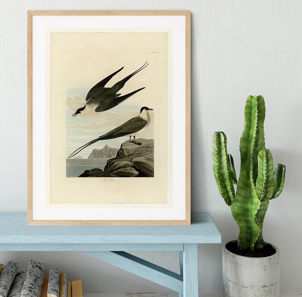 Arctic Yager by Audubon Framed Print - Canvas Art Rocks - 3