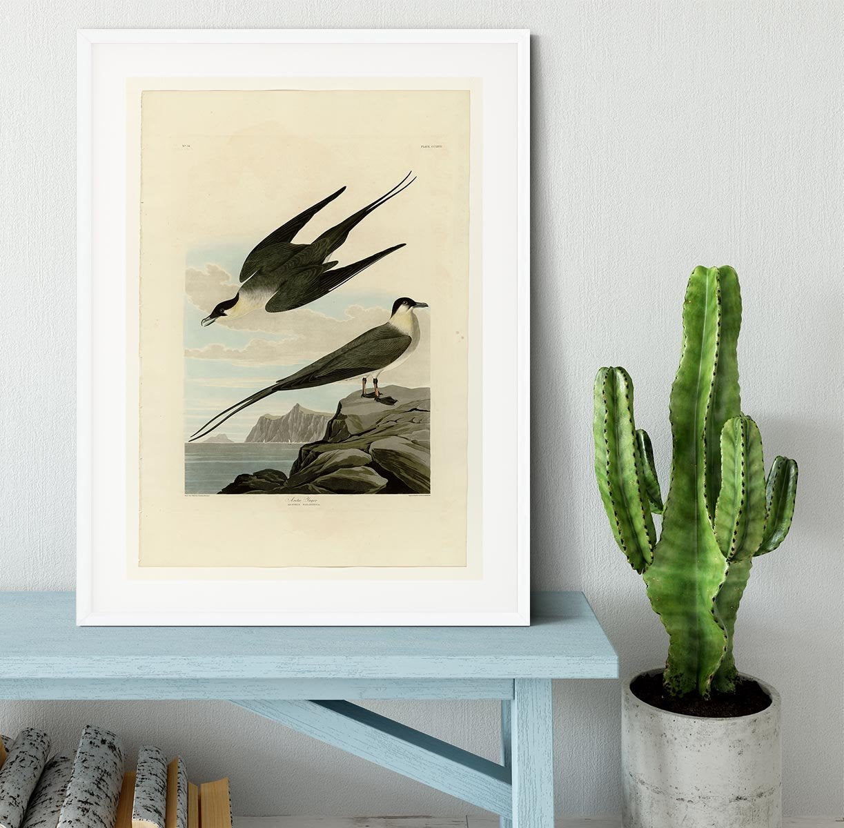 Arctic Yager by Audubon Framed Print - Canvas Art Rocks - 5