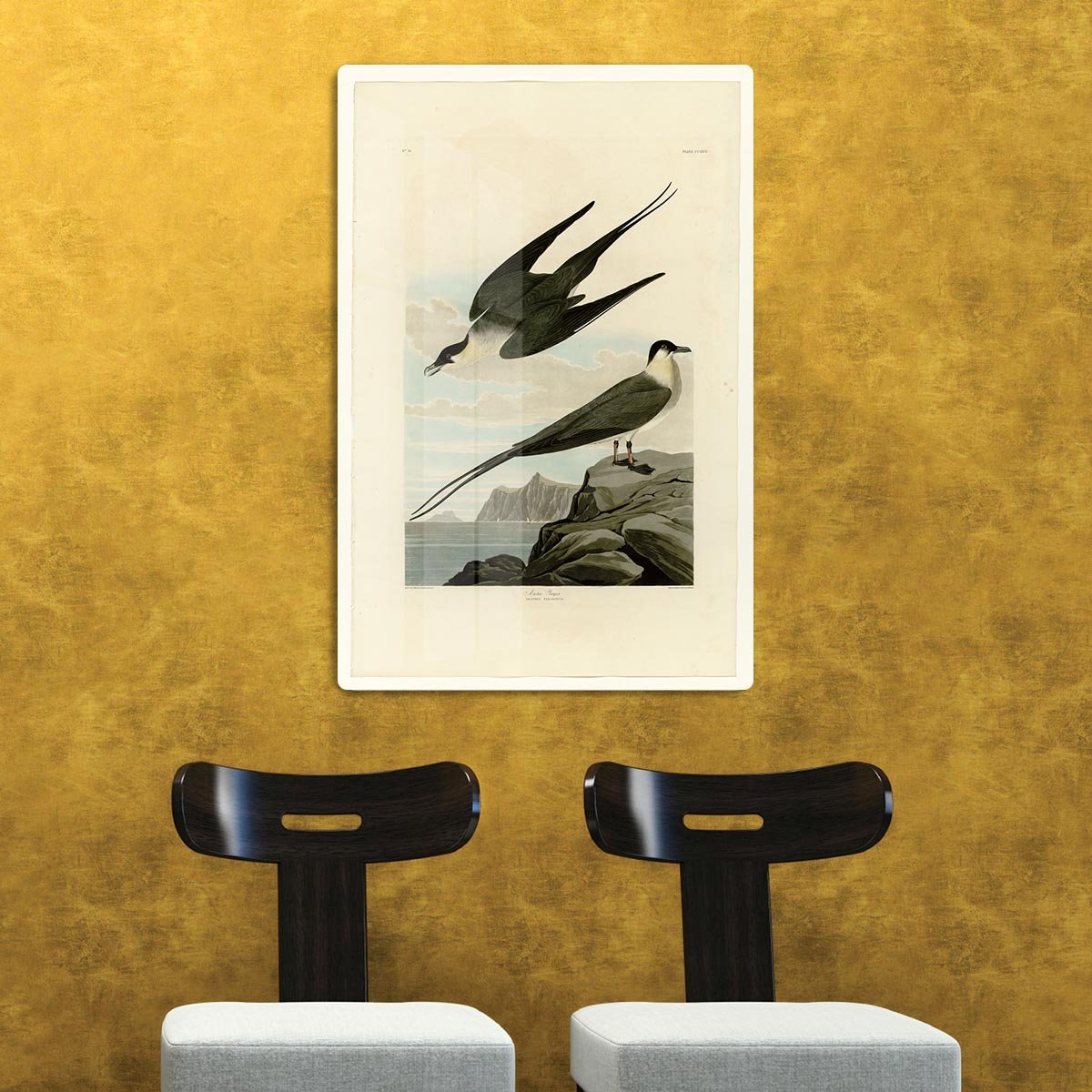 Arctic Yager by Audubon HD Metal Print - Canvas Art Rocks - 2