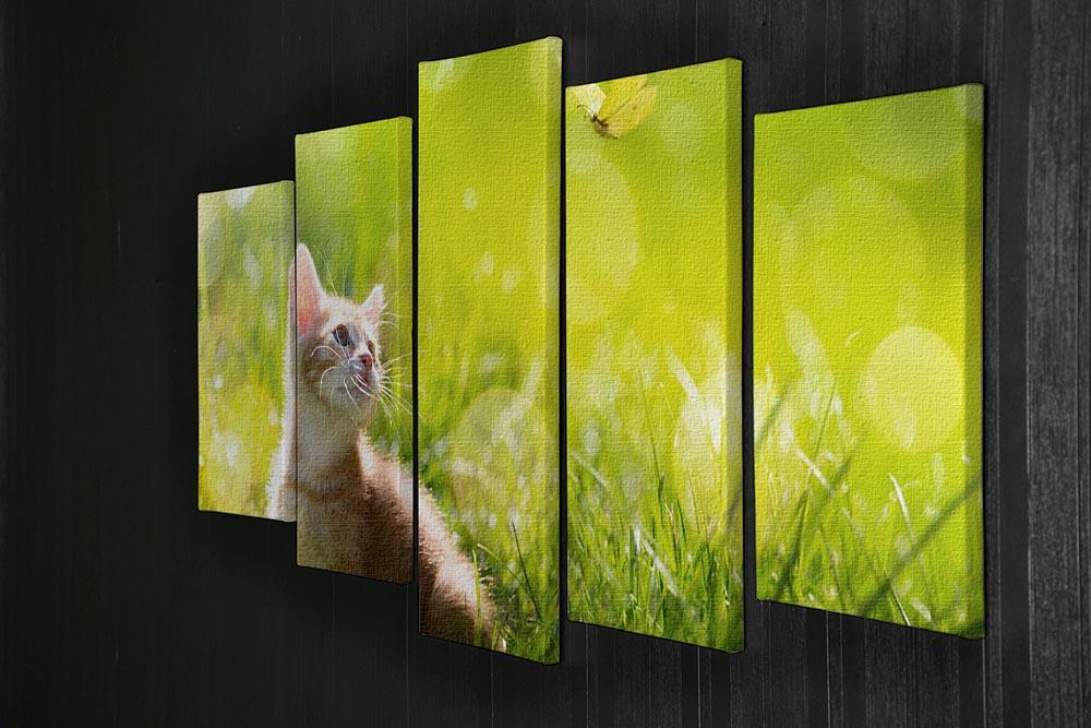 Art little ginger kitten outdoors 5 Split Panel Canvas - Canvas Art Rocks - 2