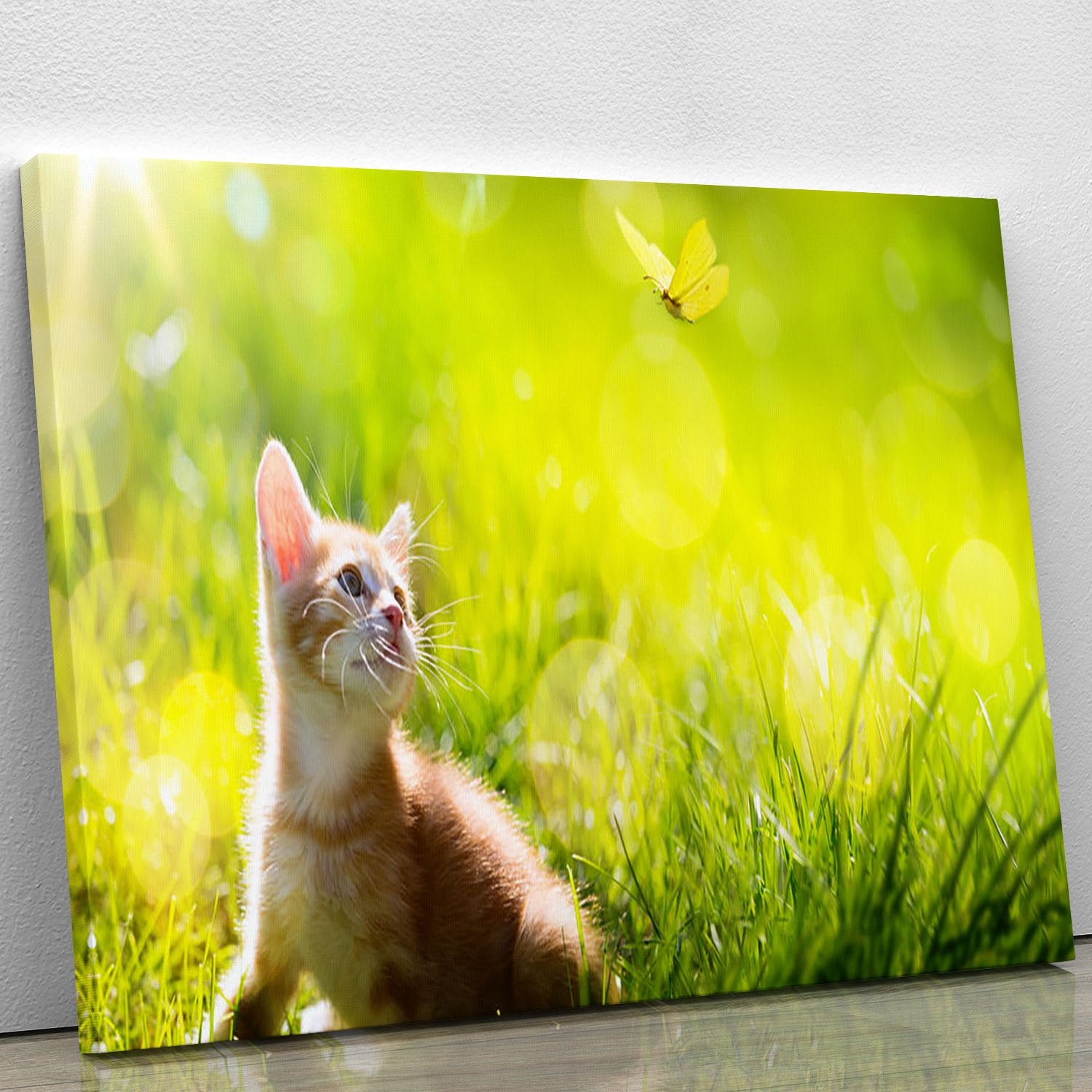 Art little ginger kitten outdoors Canvas Print or Poster