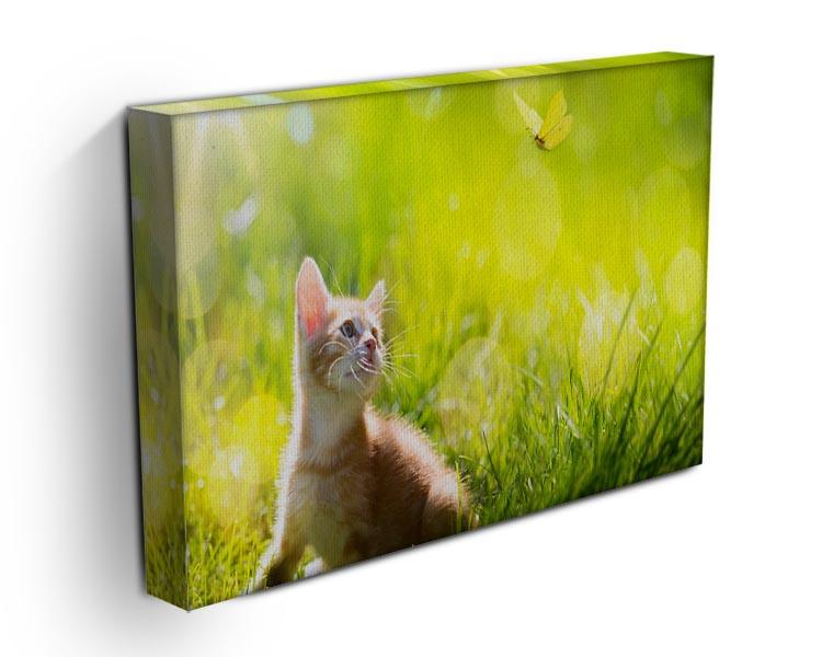Art little ginger kitten outdoors Canvas Print or Poster - Canvas Art Rocks - 3