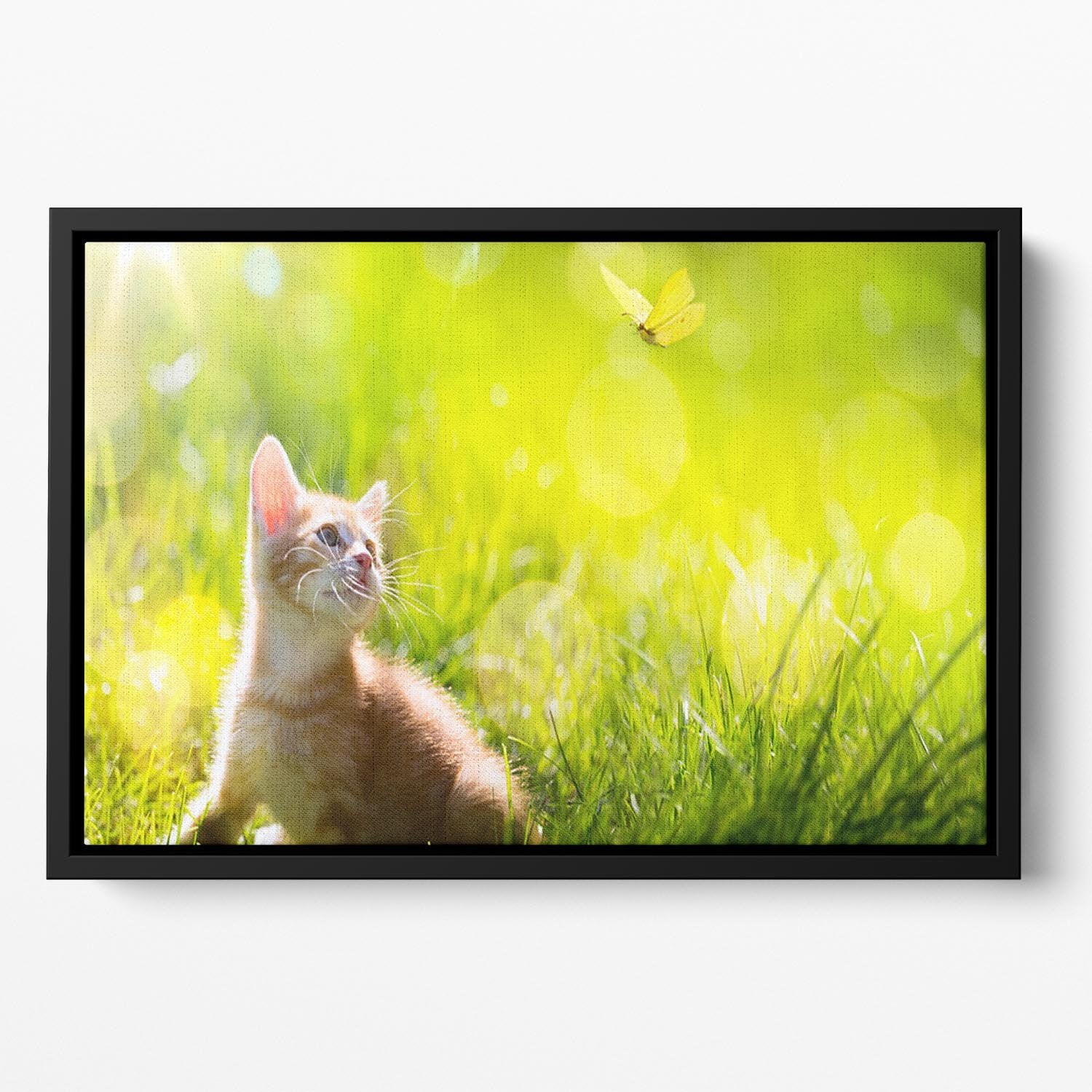 Art little ginger kitten outdoors Floating Framed Canvas - Canvas Art Rocks - 2