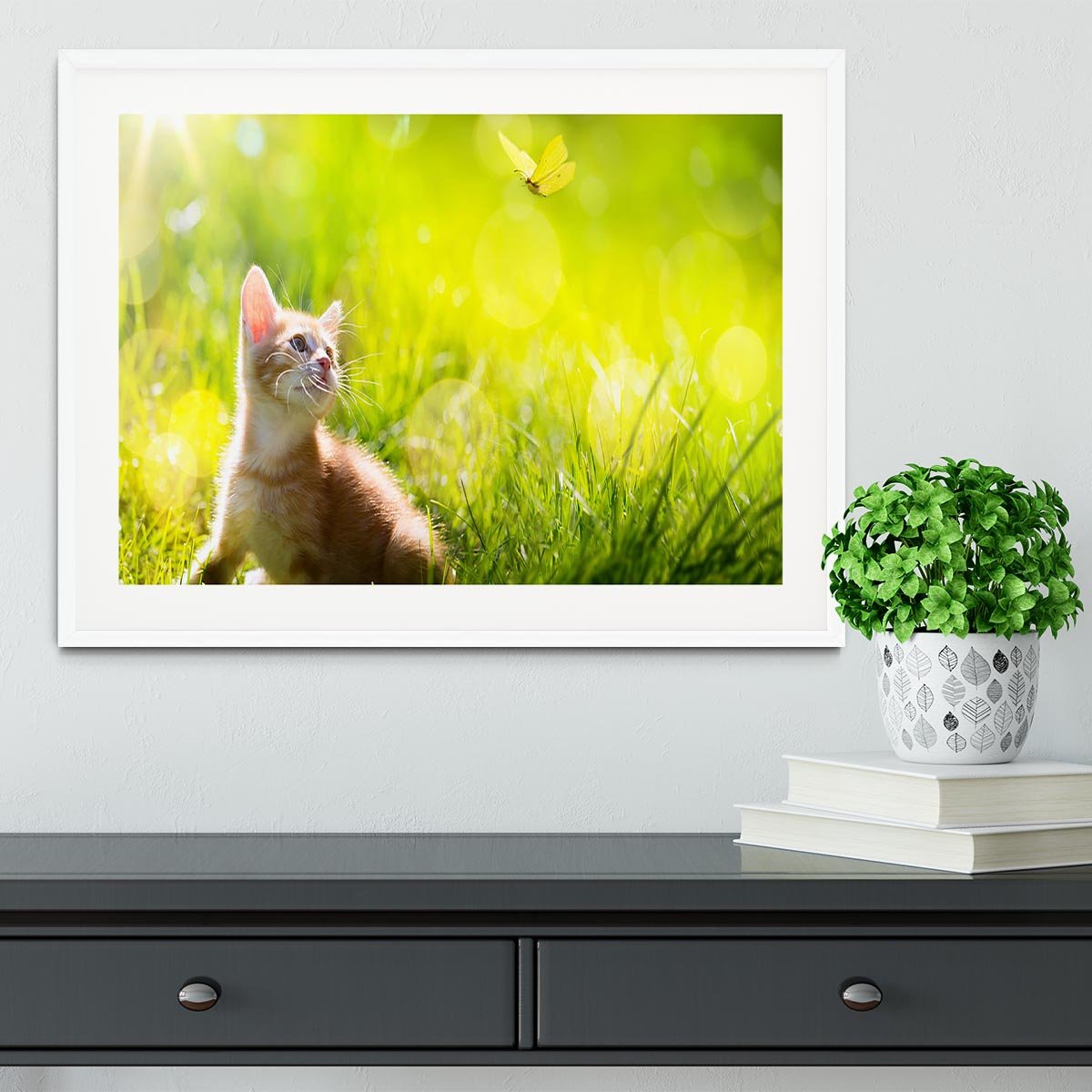 Art little ginger kitten outdoors Framed Print - Canvas Art Rocks - 5