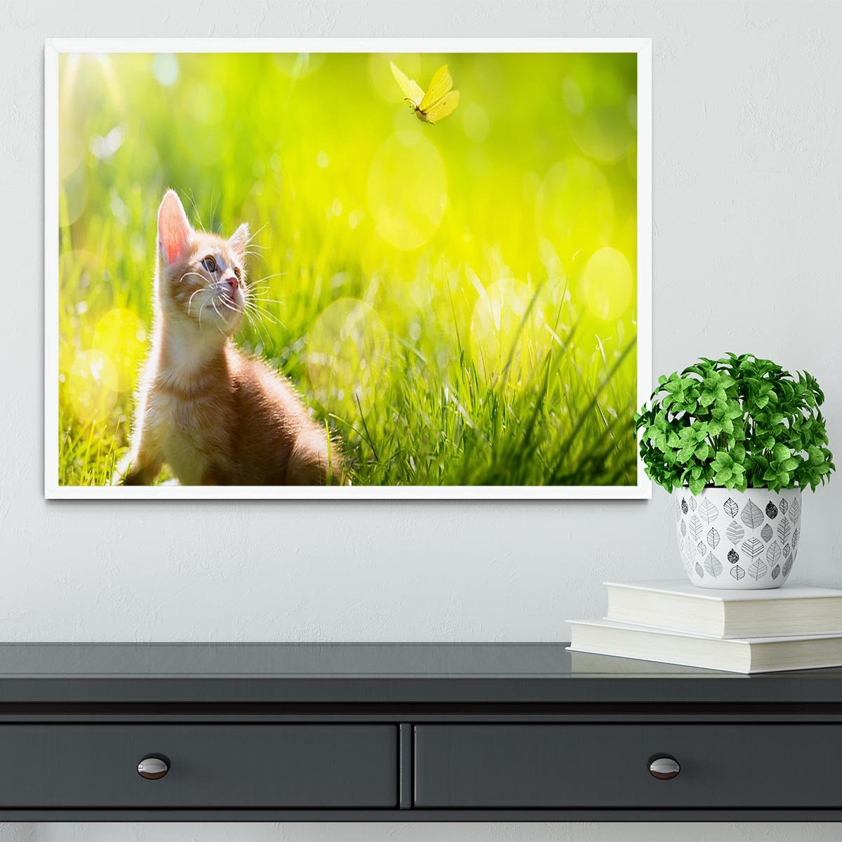 Art little ginger kitten outdoors Framed Print - Canvas Art Rocks -6