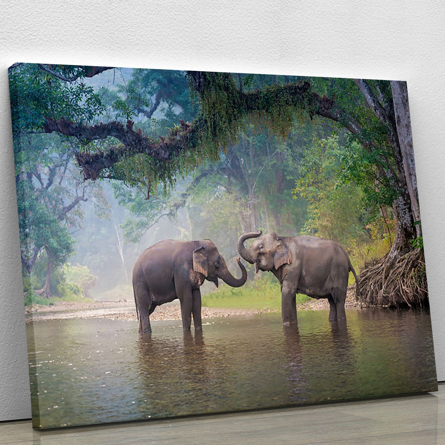 Asian Elephants in a natural river at deep forest Canvas Print or Poster