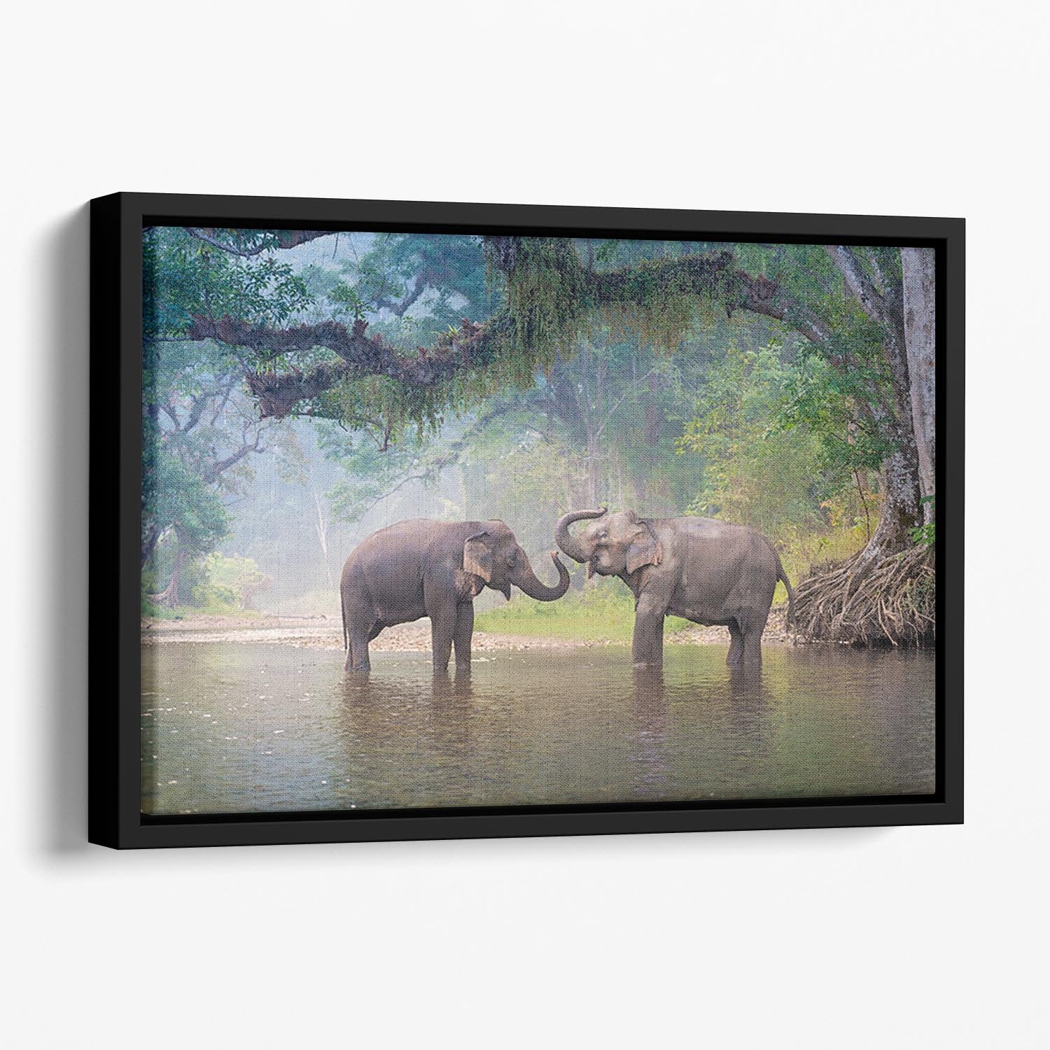 Asian Elephants in a natural river at deep forest Floating Framed Canvas - Canvas Art Rocks - 1
