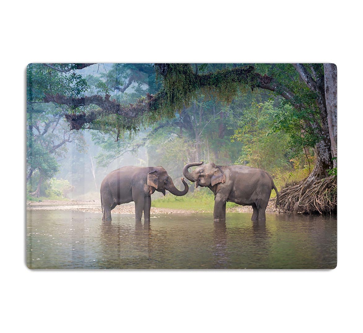 Asian Elephants in a natural river at deep forest HD Metal Print - Canvas Art Rocks - 1