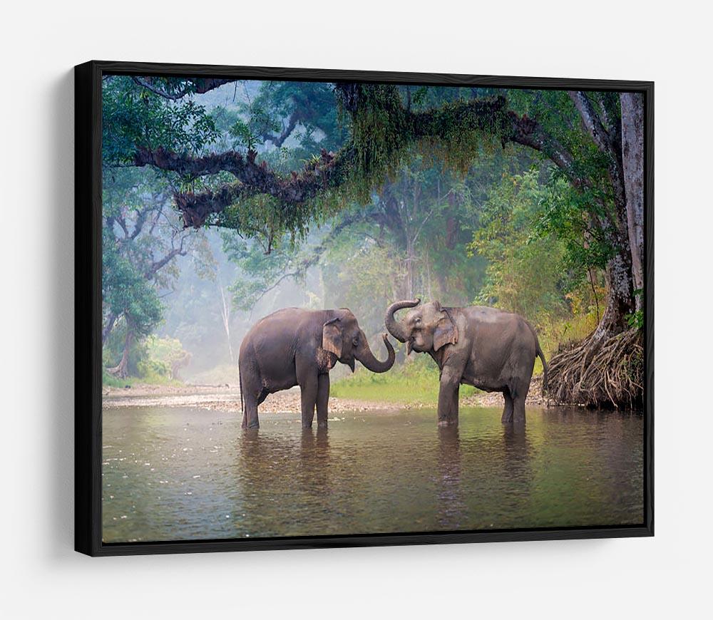 Asian Elephants in a natural river at deep forest HD Metal Print - Canvas Art Rocks - 6
