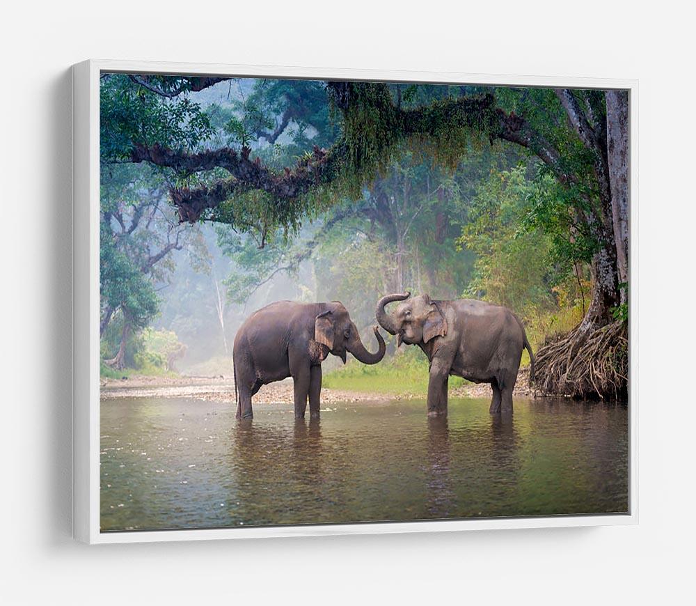 Asian Elephants in a natural river at deep forest HD Metal Print - Canvas Art Rocks - 7