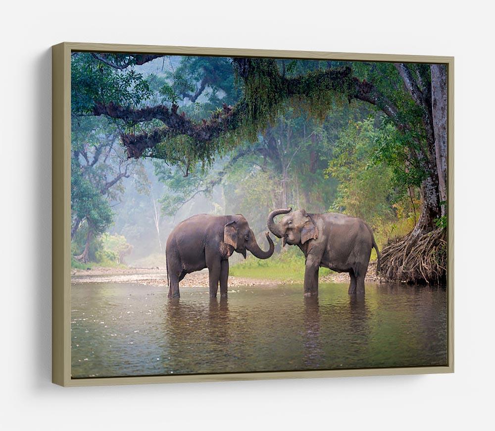 Asian Elephants in a natural river at deep forest HD Metal Print - Canvas Art Rocks - 8