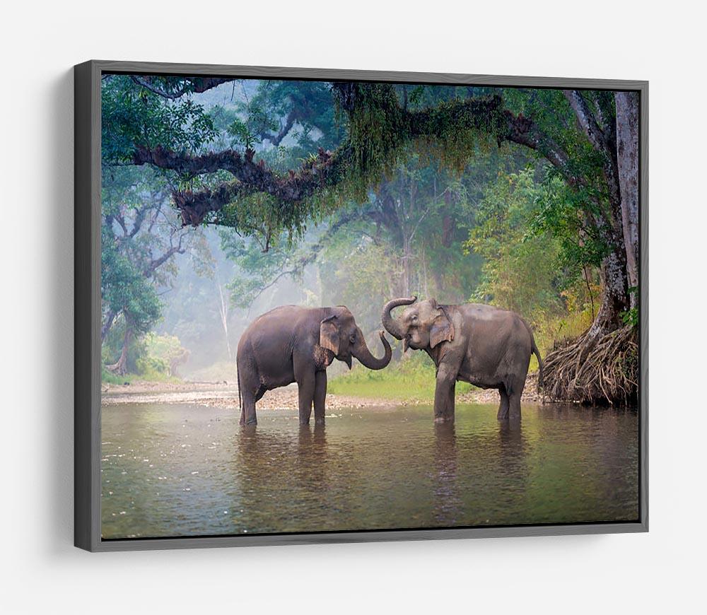 Asian Elephants in a natural river at deep forest HD Metal Print - Canvas Art Rocks - 9