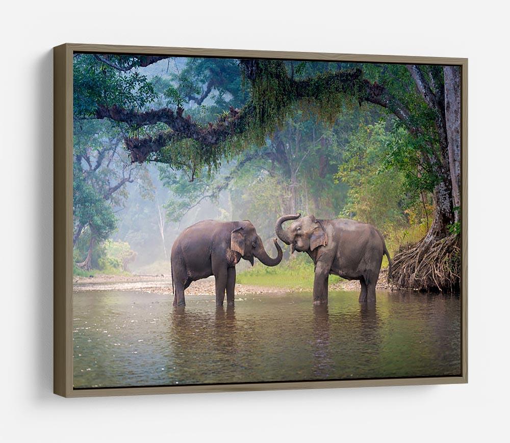 Asian Elephants in a natural river at deep forest HD Metal Print - Canvas Art Rocks - 10