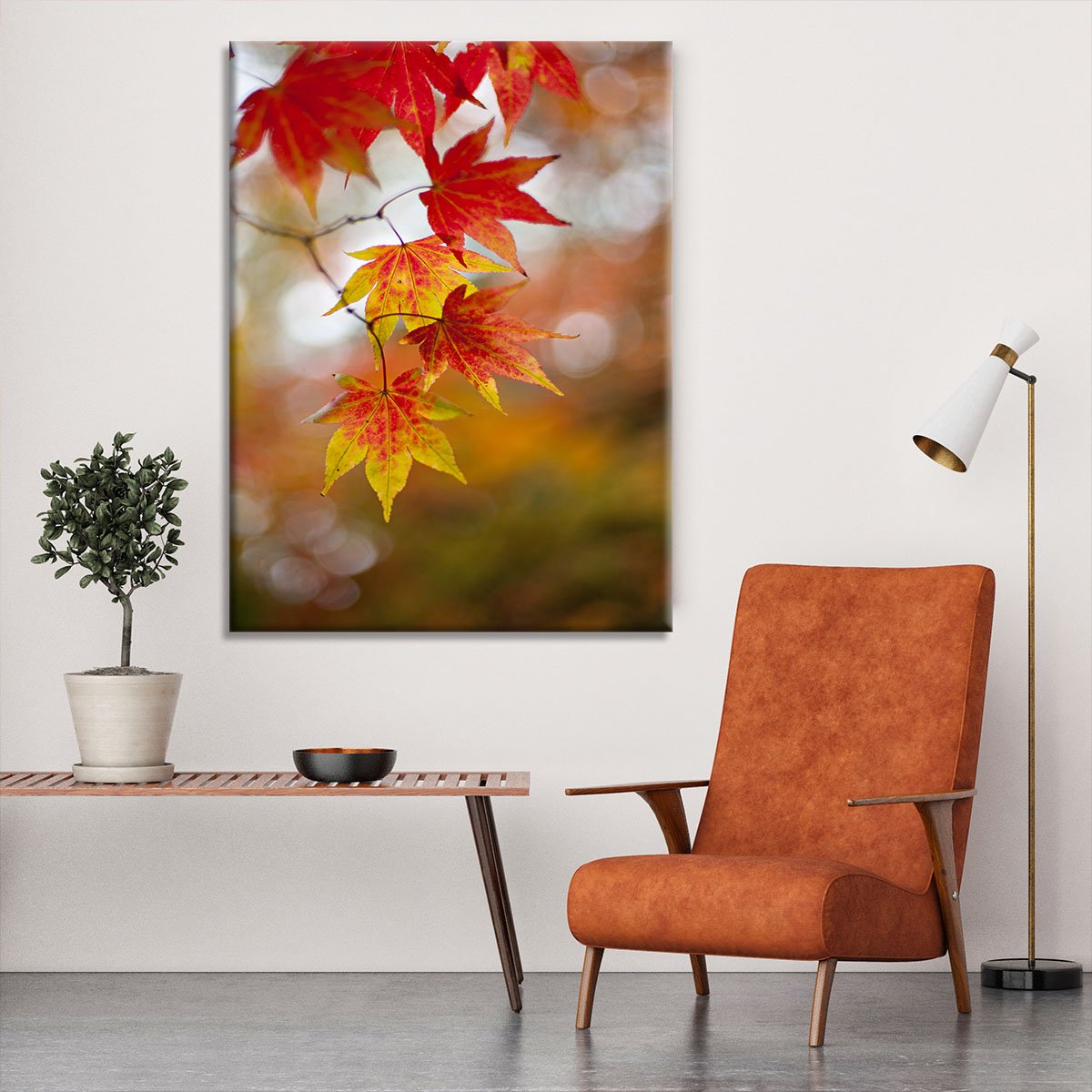 Autumn Colours Canvas Print or Poster