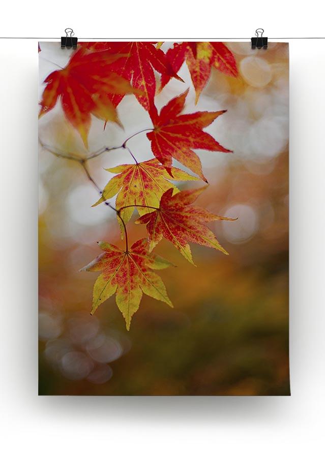 Autumn Colours Canvas Print or Poster - Canvas Art Rocks - 2