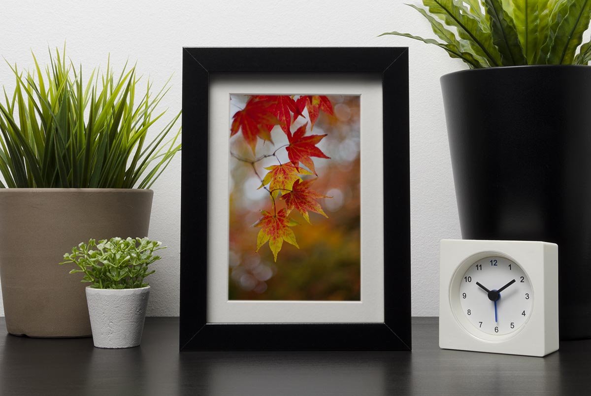 Autumn Colours Framed Print - Canvas Art Rocks - 1