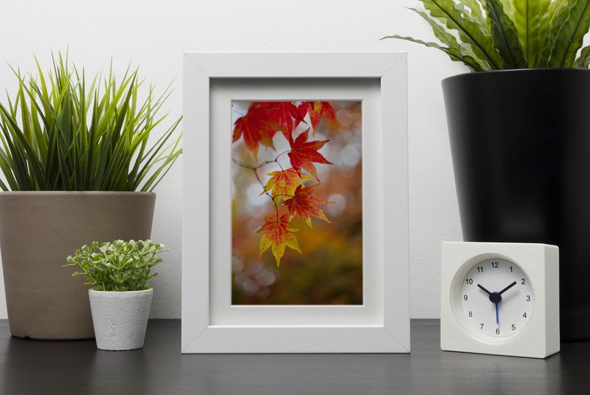 Autumn Colours Framed Print - Canvas Art Rocks - 3