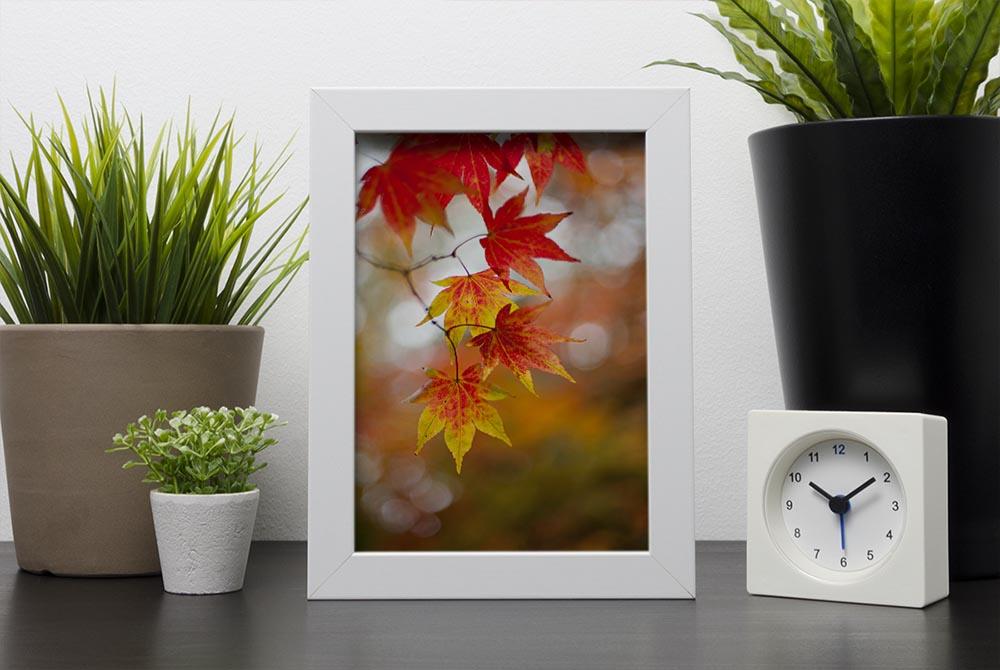 Autumn Colours Framed Print - Canvas Art Rocks - 4