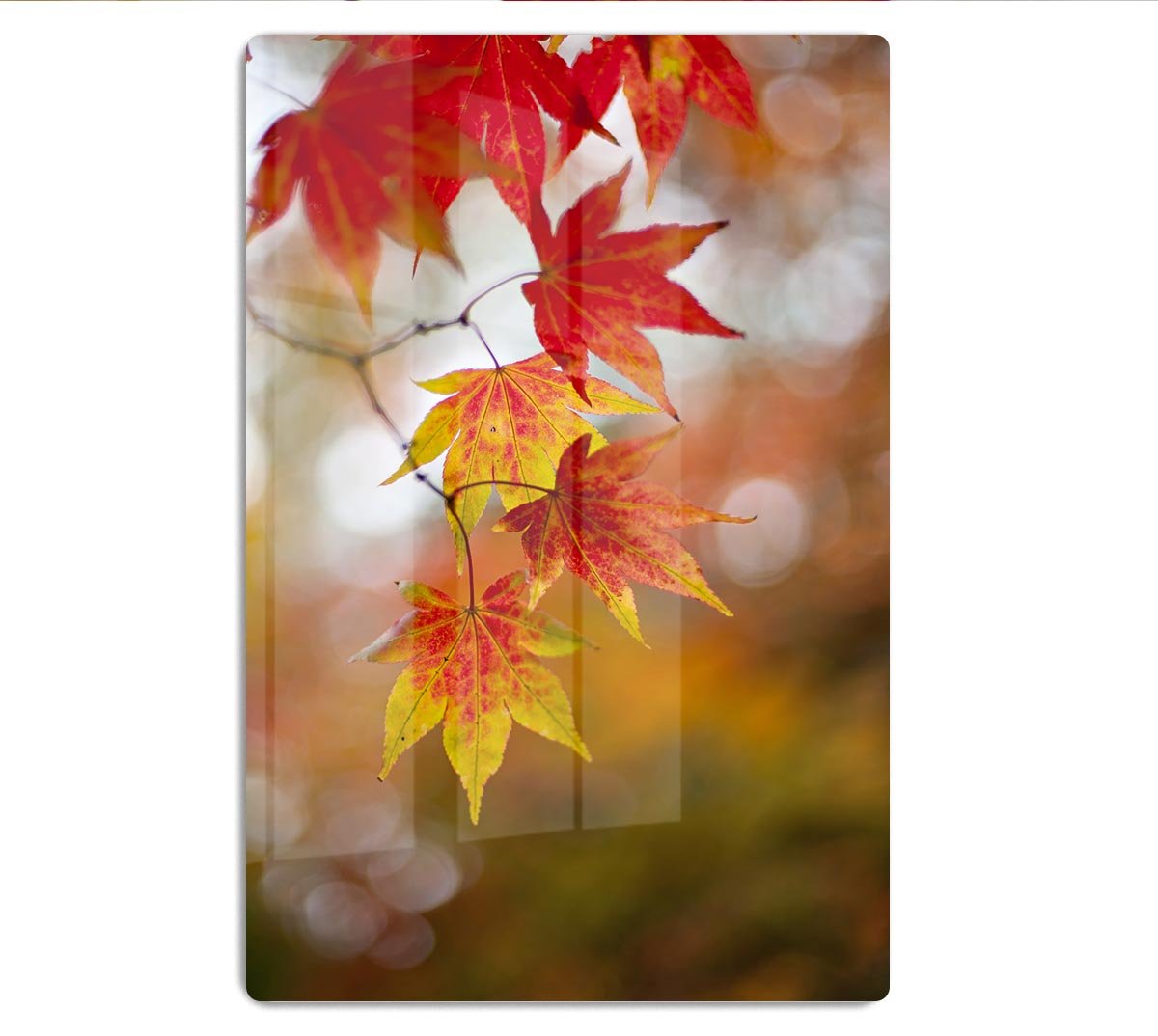 Autumn Colours HD Metal Print - Canvas Art Rocks - 1